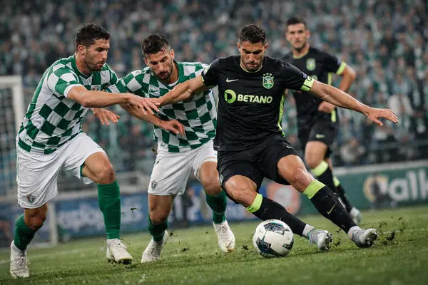 Moreirense FC x Sporting CP